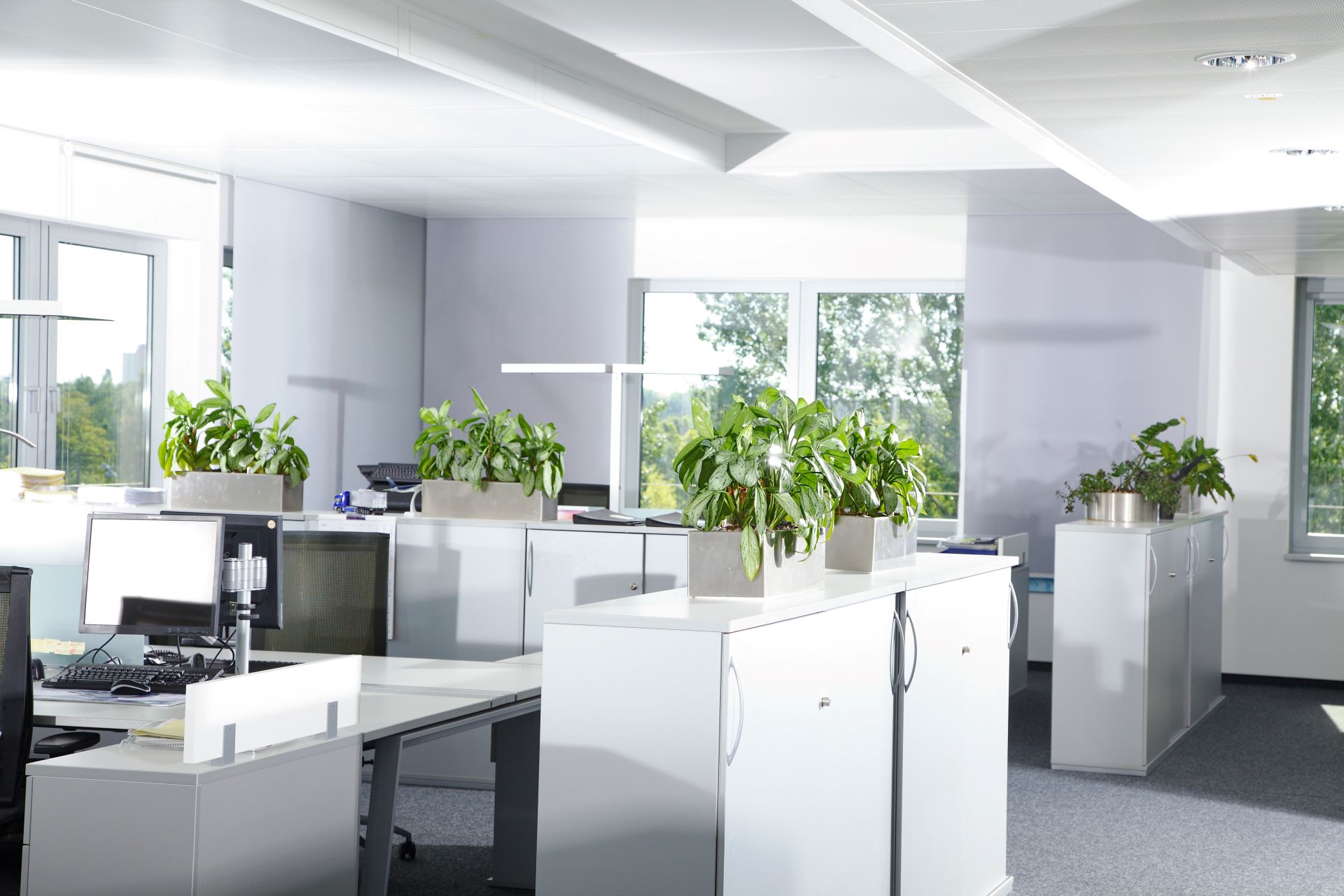 Resume Writing Services Chisholm ACT